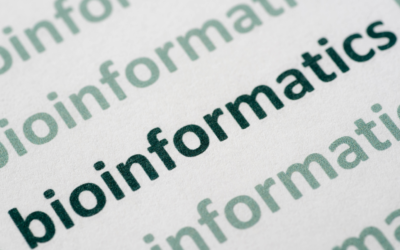 An Introduction to Bioinformatics