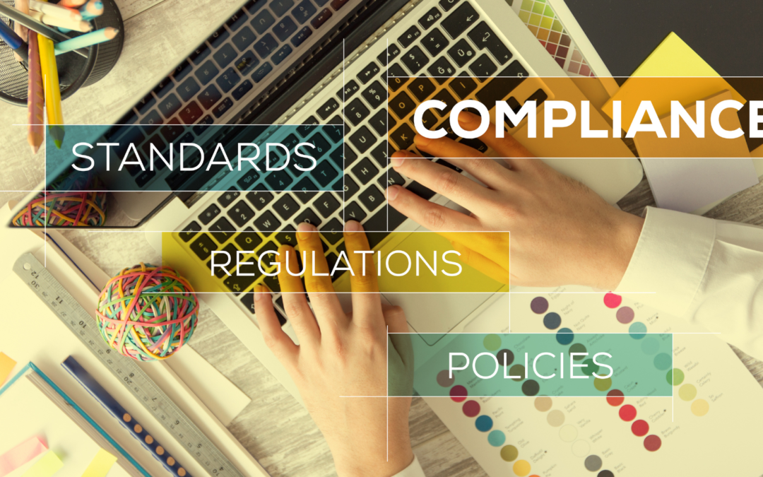 What is the purpose of an IT Audit?