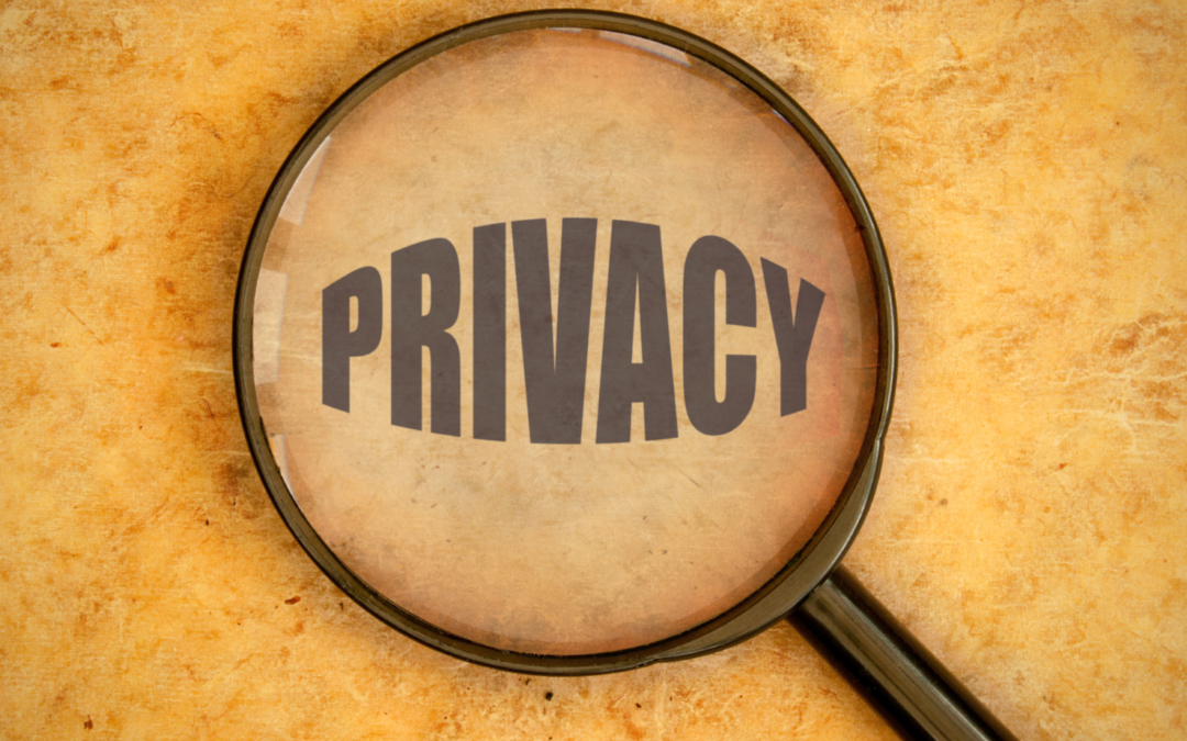 Data Privacy Laws in South Africa: What Your Business Needs to Know About POPIA