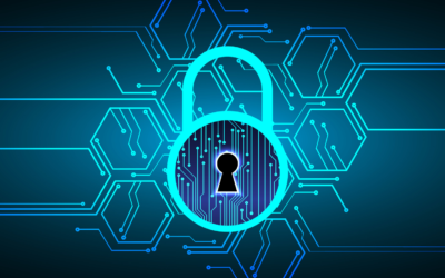 Network Security Solutions: Safeguarding Your Business in the Digital Age